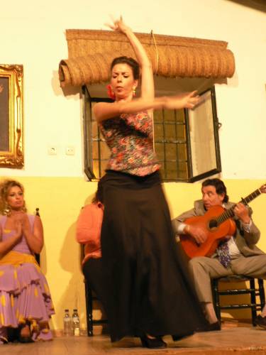 70- Danseuse de Flamenco 
